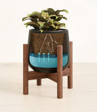 Load image into Gallery viewer, Black stand:walnut