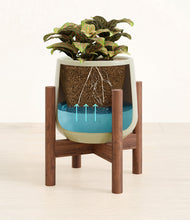 Load image into Gallery viewer, Turquoise stand:walnut