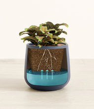 Load image into Gallery viewer, Deep Navy