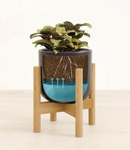 Load image into Gallery viewer, Stone Black stand:bamboo
