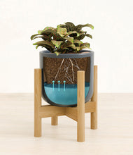 Load image into Gallery viewer, Iron Gray stand:bamboo