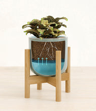 Load image into Gallery viewer, Misty Blue stand:bamboo