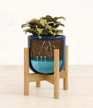Load image into Gallery viewer, Twilight Blue stand:bamboo
