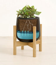 Load image into Gallery viewer, Black stand:bamboo