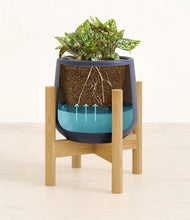 Load image into Gallery viewer, Deep Navy stand:bamboo