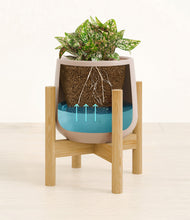 Load image into Gallery viewer, Eternal Gray stand:bamboo