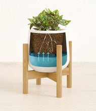 Load image into Gallery viewer, White stand:bamboo