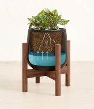 Load image into Gallery viewer, Black stand:walnut