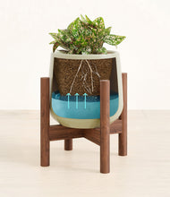 Load image into Gallery viewer, Turquoise stand:walnut