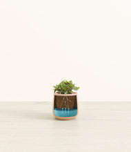 Load image into Gallery viewer, -