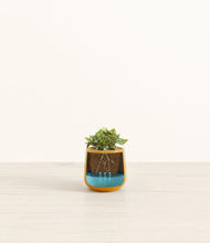 Load image into Gallery viewer, -