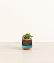 Load image into Gallery viewer, -