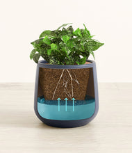 Load image into Gallery viewer, Deep Navy