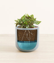 Load image into Gallery viewer, Misty Blue