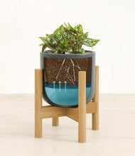 Load image into Gallery viewer, Iron Gray stand:bamboo