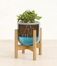 Load image into Gallery viewer, Misty Blue stand:bamboo