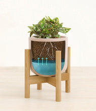 Load image into Gallery viewer, Sandy Pink stand:bamboo