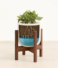 Load image into Gallery viewer, Misty Blue stand:walnut