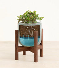 Load image into Gallery viewer, Reactive Aqua stand:walnut