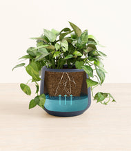 Load image into Gallery viewer, Deep Navy