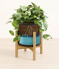 Load image into Gallery viewer, Black stand:bamboo