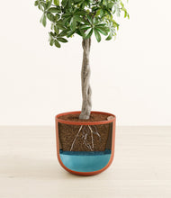 Load image into Gallery viewer, Earth Red