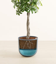 Load image into Gallery viewer, Iron Gray