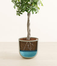 Load image into Gallery viewer, Sage Green