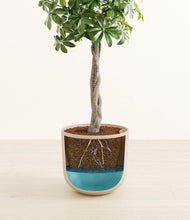 Load image into Gallery viewer, Sandy Pink