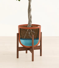 Load image into Gallery viewer, Earth Red stand:walnut