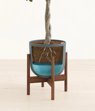 Load image into Gallery viewer, Iron Gray stand:walnut