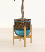 Load image into Gallery viewer, Iron Gray stand:bamboo