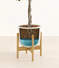 Load image into Gallery viewer, Natural Bamboo stand:bamboo