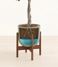 Load image into Gallery viewer, Sage Green stand:walnut