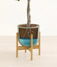 Load image into Gallery viewer, Sage Green stand:bamboo