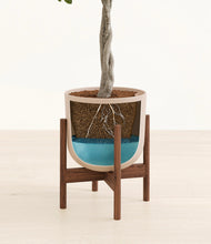 Load image into Gallery viewer, Sandy Pink stand:walnut