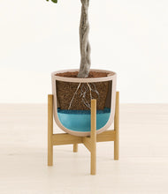 Load image into Gallery viewer, Sandy Pink stand:bamboo