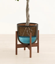 Load image into Gallery viewer, Stone Black stand:walnut