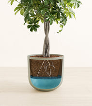 Load image into Gallery viewer, Sage Green