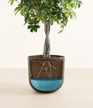 Load image into Gallery viewer, Stone Black