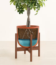 Load image into Gallery viewer, Earth Red stand:walnut