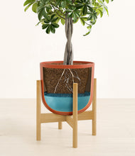 Load image into Gallery viewer, Earth Red stand:bamboo