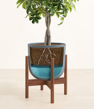 Load image into Gallery viewer, Iron Gray stand:walnut