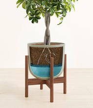 Load image into Gallery viewer, Sage Green stand:walnut