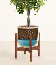 Load image into Gallery viewer, Sandy Pink stand:walnut