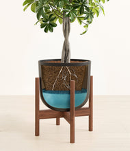 Load image into Gallery viewer, Stone Black stand:walnut