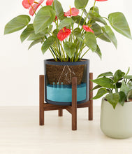 Load image into Gallery viewer, Coastal Breeze stand:one_stand