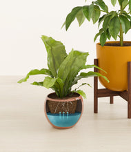 Load image into Gallery viewer, Evening Sky stand:one_stand