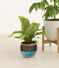 Load image into Gallery viewer, Sandy stand:two_stands