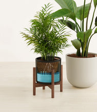 Load image into Gallery viewer, Orca stand:one_stand